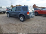 Ford Escape Xlt/Xlt Sport 1FMYU93186KA61010 снимка