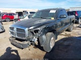Dodge Dakota Slt 1D7HE42K55S363423 снимка