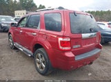 Ford Escape Limited 1FMCU94G19KB13157 снимка