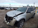 Ford Escape Xlt 1FMCU0D73AKD37420 снимка