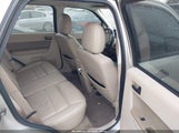 Ford Escape Xlt 1FMCU0D73AKD37420 fotografie