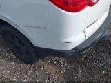 Miniaturka zdjęcia 6