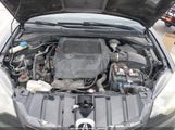 Acura Rdx 5J8TB1H53AA000813 снимка