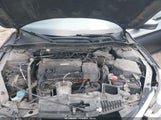 Honda Accord Lx 1HGCR2F38HA255387 снимка
