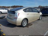 Miniaturka zdjęcia 4