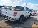 Ford F-150 Fx2 Sport/Xl/Xlt 1FTEW1C89AFD32707 fotografie