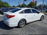 Hyundai Sonata 5NPE24AF2HH490272 снимка