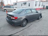 Toyota Corolla Le JTDBU4EE5BJ095810 fotografie