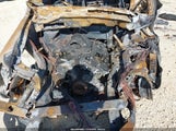 Ford F-150 Stx 1FTMF1CM7EKG46037 снимка