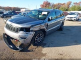 Jeep Grand Cherokee Trailhawk 4X4 1C4RJFLG9HC610196 photo