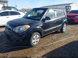 Kia Soul KNDJT2A52D7487913 снимка
