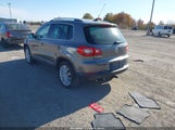 Miniaturka zdjęcia 3