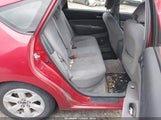 Miniaturka zdjęcia 8