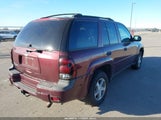 Chevrolet Trailblazer Ls 1GNDT13S162205858 fotografie