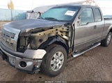 Ford F-150 Xlt 1FTEX1E86AFD09752 снимка