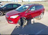 Ford Escape Sel 1FMCU0HXXDUD38096 снимка