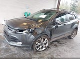 Miniaturka zdjęcia 6