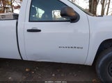 Chevrolet Silverado  Work Truck 1GCNCPEXXDZ398833 fotografie