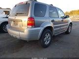Ford Escape Xlt/Xlt Sport 1FMCU03127KA53069 photo