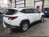 Hyundai Tucson Sel KM8JBCDE1RU349157 снимка