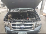 Ford Escape Xlt 1FMCU0D71AKA63828 снимка