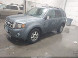 Ford Escape Xlt 1FMCU0D71AKA63828 снимка