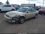 Nissan Maxima Gle/Gxe/Se JN1CA21D8VM529691 fotografie