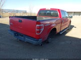 Ford F-150 Fx4/Harley-Davidson/King Ranch/Lariat/Platinum/Xl/Xlt 1FTFW1EV6AFC97714 снимка
