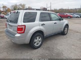 Ford Escape Xlt 1FMCU93118KA81922 снимка