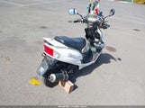 Miniaturka zdjęcia 4