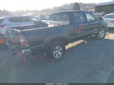 Toyota Tacoma Base V6 3TMMU52N49M014117 photo
