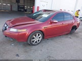 Acura Tl 3.2 19UUA66257A020888 снимка