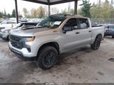 Chevrolet Silverado  4Wd Short Bed Custom Trail Boss 3GCUDCET5NG550095 fotografie