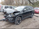 Jeep Compass Trailhawk 4X4 3C4NJDDB7JT283796 снимка