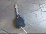 Miniaturka zdjęcia 11
