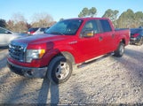 Ford F-150 Fx2 Sport/Harley-Davidson/King Ranch/Lariat/Platinum/Xl/Xlt 1FTFW1CV3AFB03319 photo