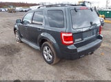 Ford Escape Xlt 1FMCU93178KB52119 снимка