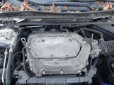 Honda Accord Ex-L V-6 1HGCR3F80FA031299 photo