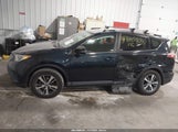 Toyota Rav4 Xle 2T3RFREV8HW671390 снимка
