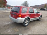 Ford Escape Xlt/Xlt Sport 1FMYU03127KA61503 photo