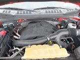 Ford F-150 Xlt 1FTFW1EG6GFB45622 снимка