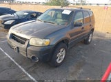 Ford Escape Xlt 1FMYU03115KC10481 снимка