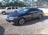 Honda Accord Ex-L V-6 1HGCR3F89DA006964 photo