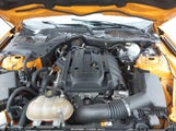 Ford Mustang Ecoboost 1FA6P8TH3J5109343 снимка