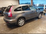 Honda Cr-V Ex 5J6RE48529L054390 снимка