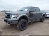 Ford F-150 Fx4 1FTFW1ET3DFB45246 снимка