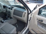 Ford Escape Xlt 1FMCU03G99KC25282 снимка