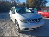 Nissan Murano Le JN8AZ1MU7DW209045 photo