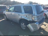 Ford Escape Xlt 1FMCU0DG1AKA09347 снимка