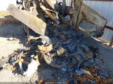 Miniaturka zdjęcia 6
